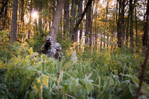 Beginners Guide to Turkey Hunting